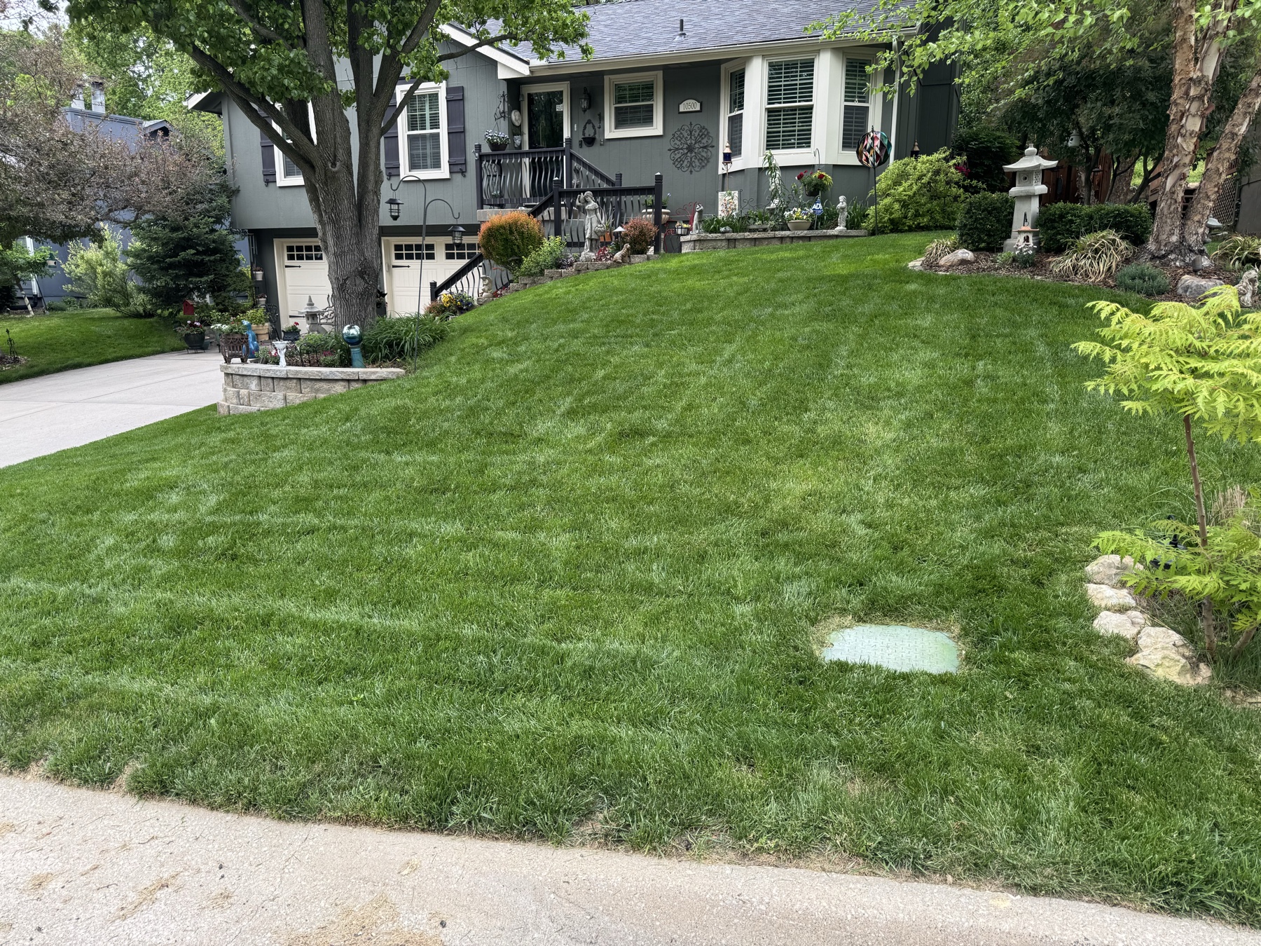 Front yard mowed and trimmed in front of a Kansas City home
